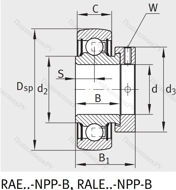 Закрепляемый подшипник RALE 20-XL-NPP-B